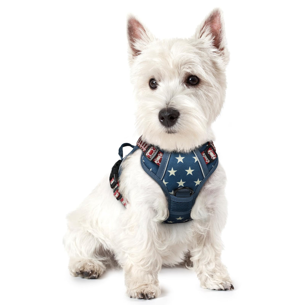 Rabbitgoo no pull harness Blue Star for safer training walks