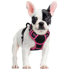 Rabbitgoo no-pull dog harness with chest clip for safer everyday walks