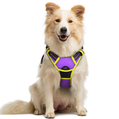 Rabbitgoo No-Pull harness chest clip closeup for safer walking