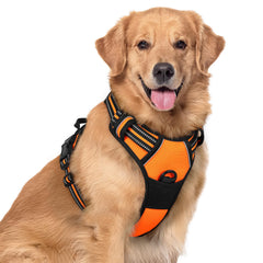 Rabbitgoo dog harness with chest clip for no-pull control during walks