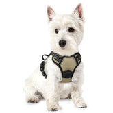 Rabbitgoo dog harness chest-clip no-pull control for safer walks.