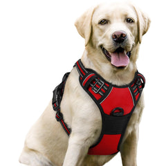 Rabbitgoo dog harness with no-pull chest clip for safer, calmer walks.