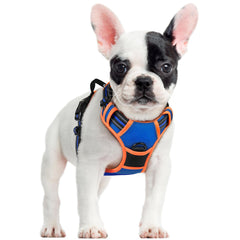 Rabbitgoo no-pull dog harness with chest clip for training and safety