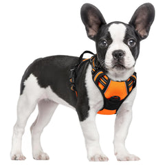 Rabbitgoo harness with chest clip for no-pull control during walks.