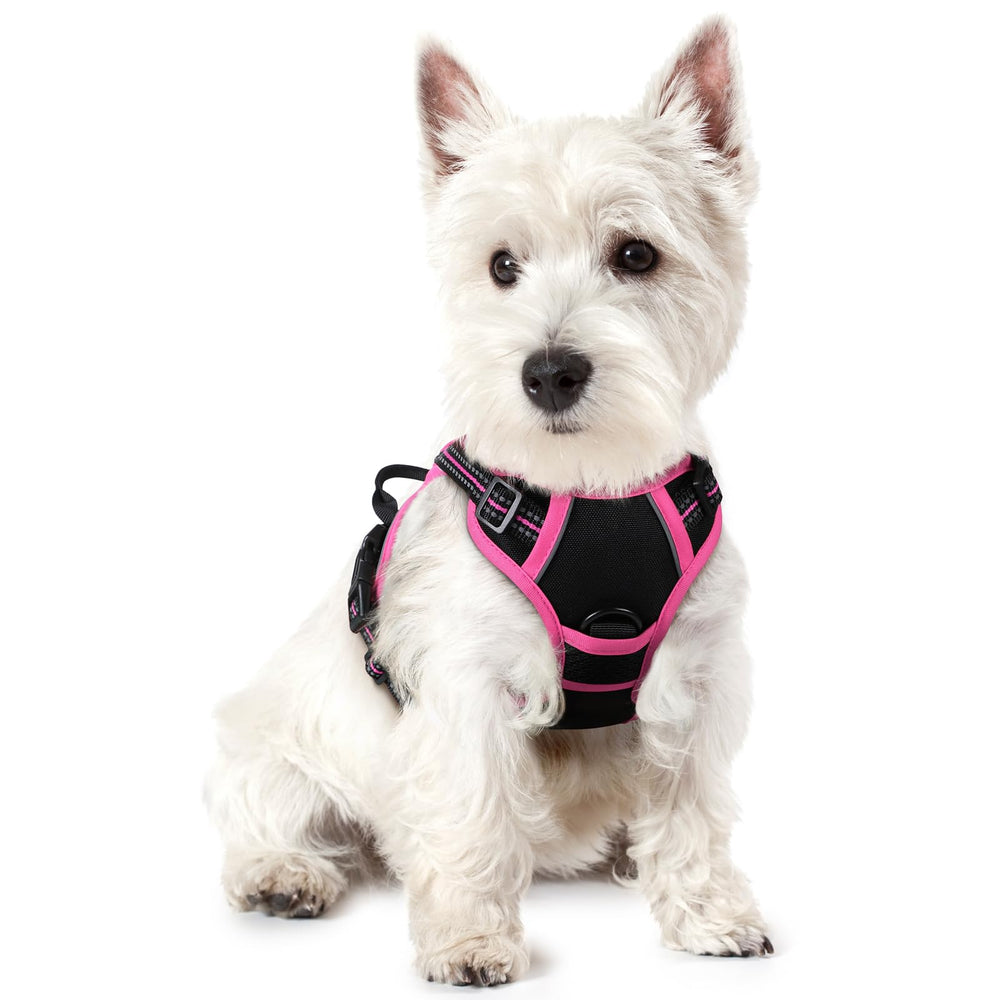 Rabbitgoo No Pull harness with chest clip for safer walks and pull-control
