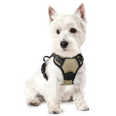 Rabbitgoo dog harness chest-clip no-pull control for safer walks.