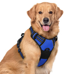 Rabbitgoo dog harness no-pull dazzling blue front view with reflective trim for safer night walks.