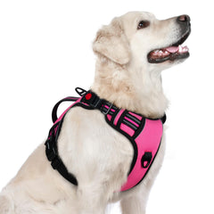 Rabbitgoo dog harness front-clip for no-pull control during walks