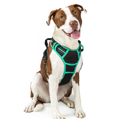 Rabbitgoo No-Pull front clips harness supports safer walks for dogs that pull