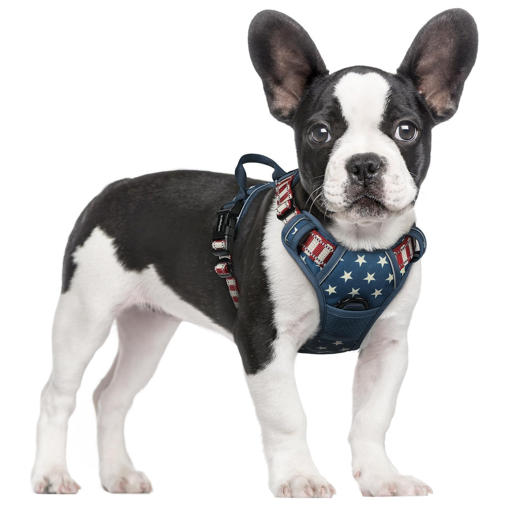 Rabbitgoo dog harness front view showing no-pull design and chest clip for controlled walks.