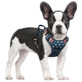 Rabbitgoo dog harness front view showing no-pull design and chest clip for controlled walks.