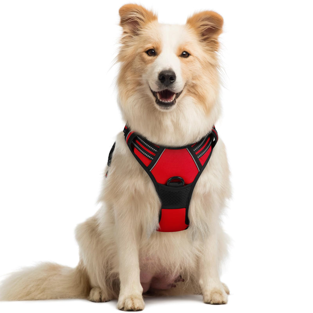Rabbitgoo dog harness front view with no-pull design for safer walks.