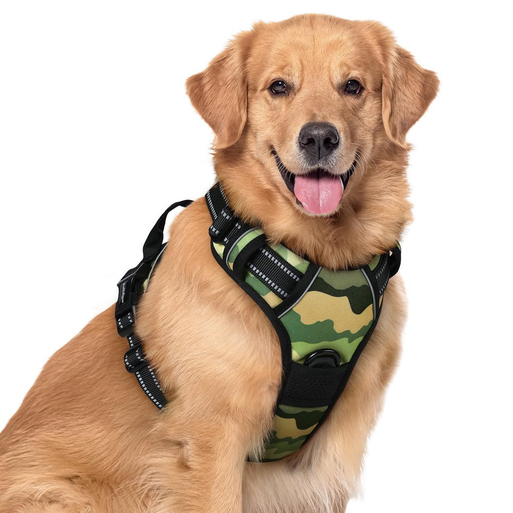 Rabbitgoo No-Pull harness with front clip aids control during walks.