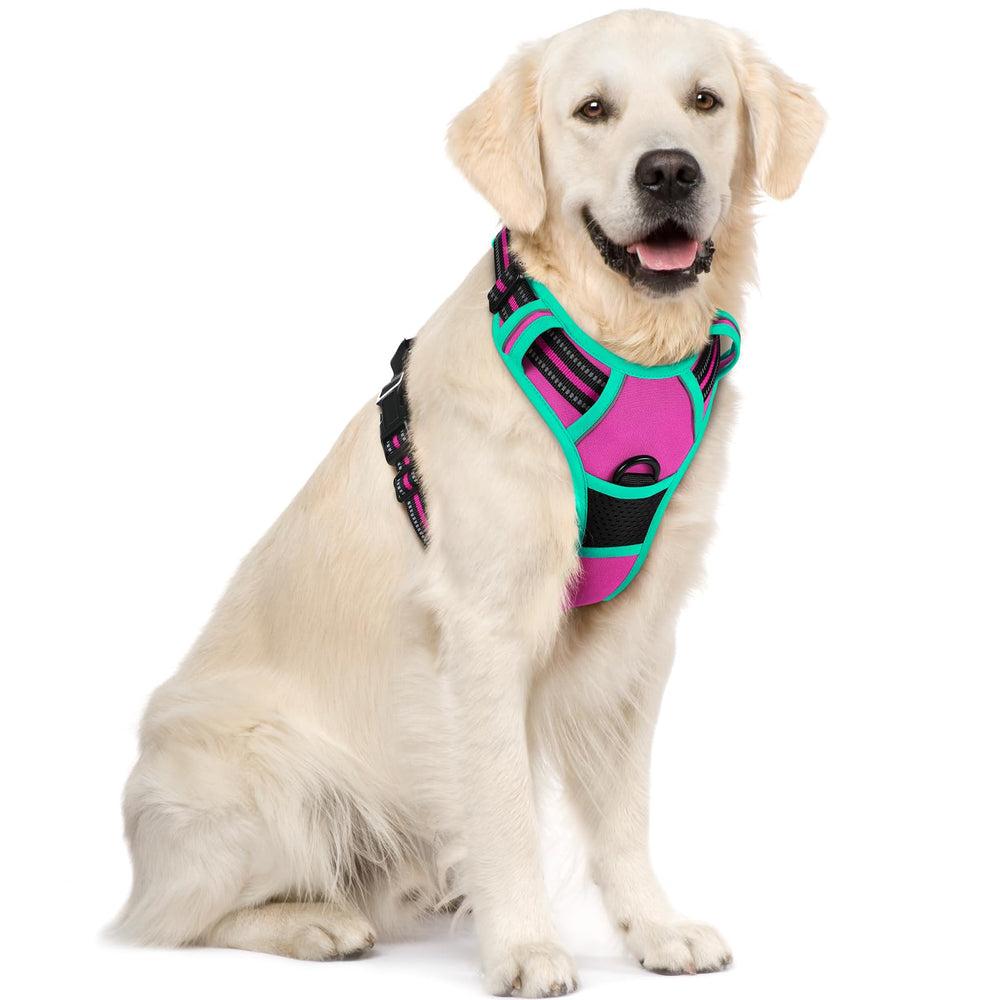 Rabbitgoo no pull harness with chest clip for control during walks.