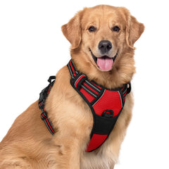 Rabbitgoo no-pull harness shown with overhead buckles for quick, comfortable on-off