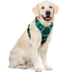 Rabbitgoo no-pull harness overview with two clips for safer walks