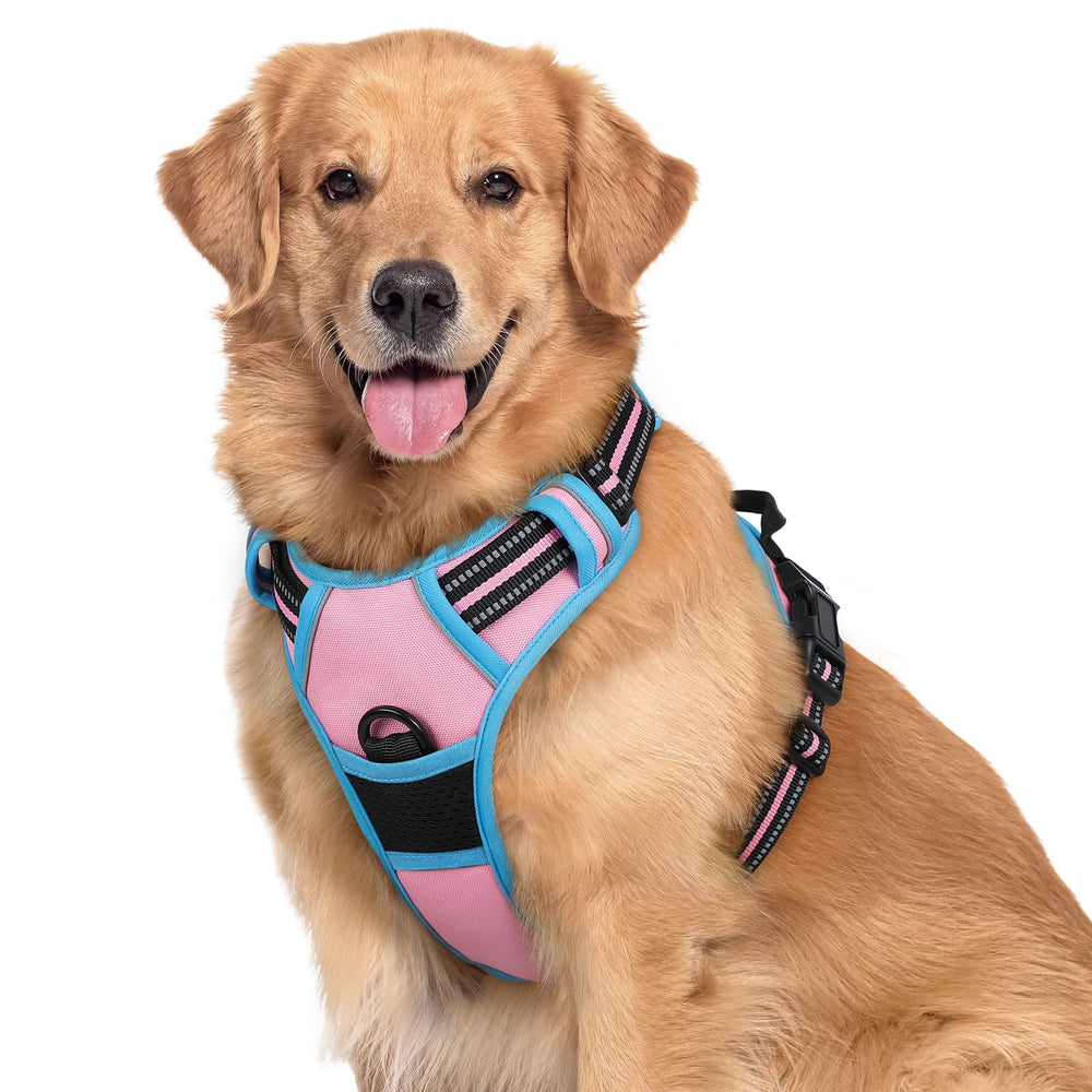 Rabbitgoo no-pull harness pink blue overview for large dogs with comfortable fit