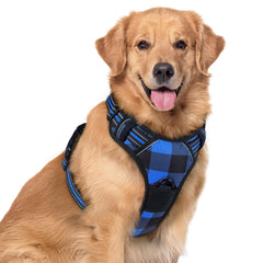 Rabbitgoo no-pull harness with two leash clips for safer walks and versatility.