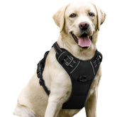Rabbitgoo dog harness with no pull and two leash clips for safer walks.