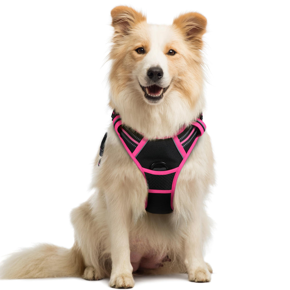 Rabbitgoo No-Pull dog harness with two leash clips for versatile daily walks.