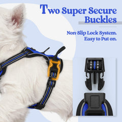 Soft padded Rabbitgoo harness delivers comfortable fit for small dogs outdoors.