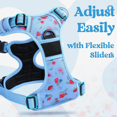 Rabbitgoo quick-release buckles, easy on and off during quick walks