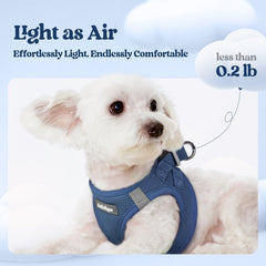 Rabbitgoo dog harness reflective bands boost visibility for safer evening strolls