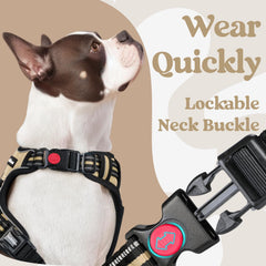 Rabbitgoo reflective stitching enhances night visibility during walks.