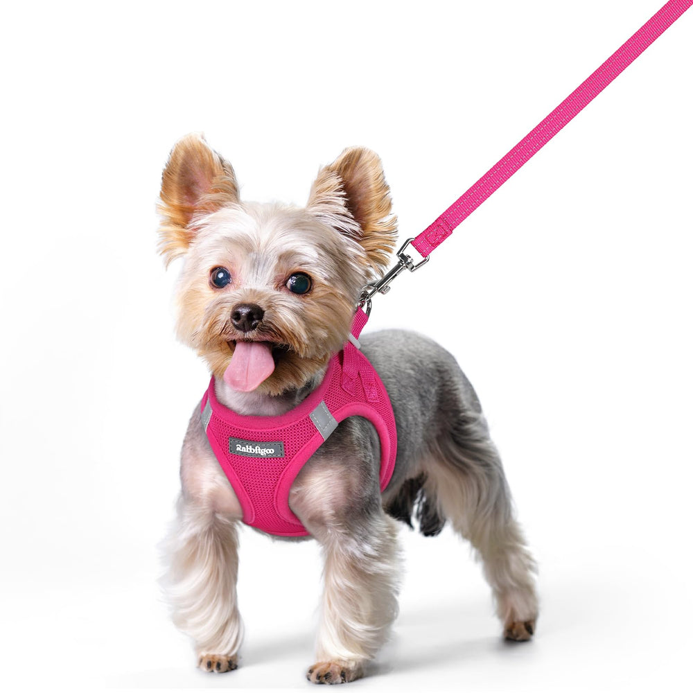 Rabbitgoo dog harness in rose red XS with step-in design for easy on-boarding.