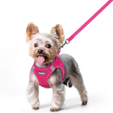 Rabbitgoo dog harness in rose red XS with step-in design for easy on-boarding.