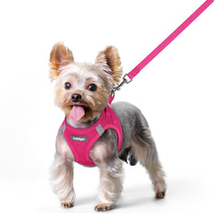 Rabbitgoo dog harness in rose red XS with step-in design for easy on-boarding.