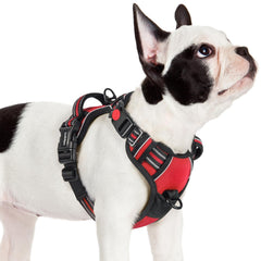 Rabbitgoo small harness with no-pull design and three quick-release buckles