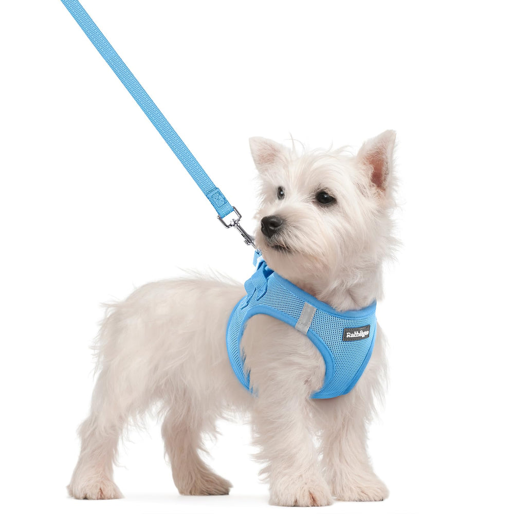 Rabbitgoo blue small step-in harness showing easy on-boarding for dogs.