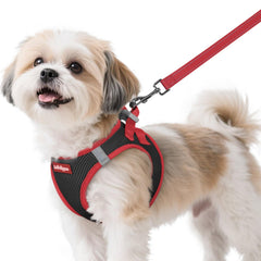 Rabbitgoo small step-in breathable mesh harness for all-day comfort.