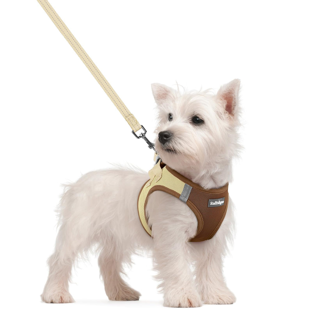 Rabbitgoo small step-in dog harness in brown-beige for easy on-paw wear.