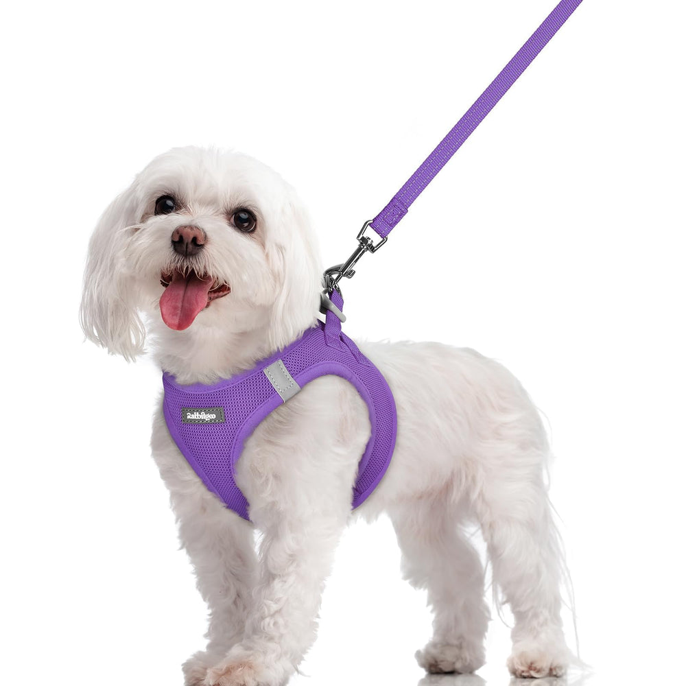 Rabbitgoo step-in harness close-up with breathable mesh for cooler strolls.
