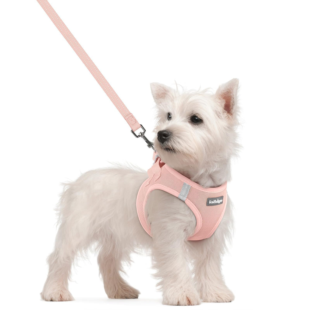 Rabbitgoo small step-in pink harness for quick, mess-free daily walks.