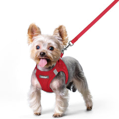 Rabbitgoo dog harness small step-in for easy entry and comfort.
