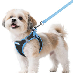 Rabbitgoo dog harness small step-in design for quick, comfortable daily walks