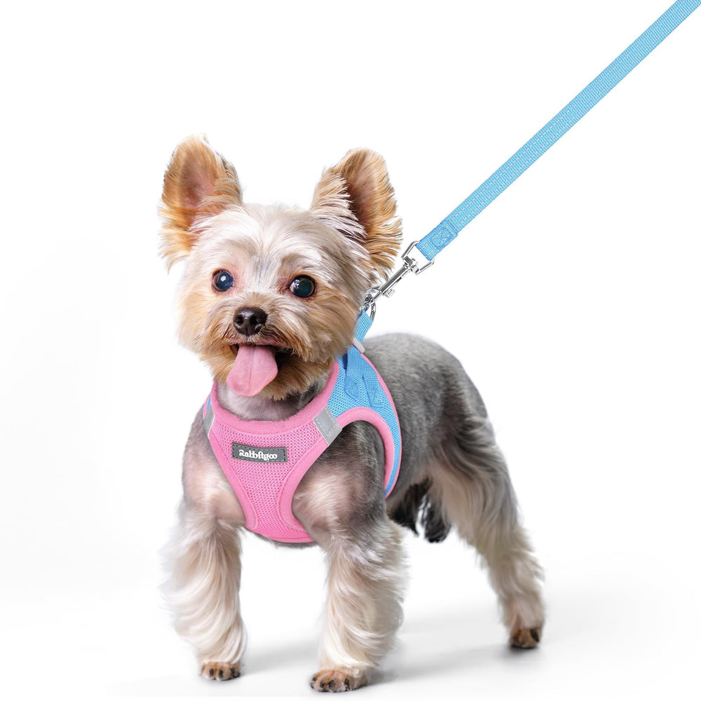 Rabbitgoo dog harness step-in design for quick wearing during daily walks.