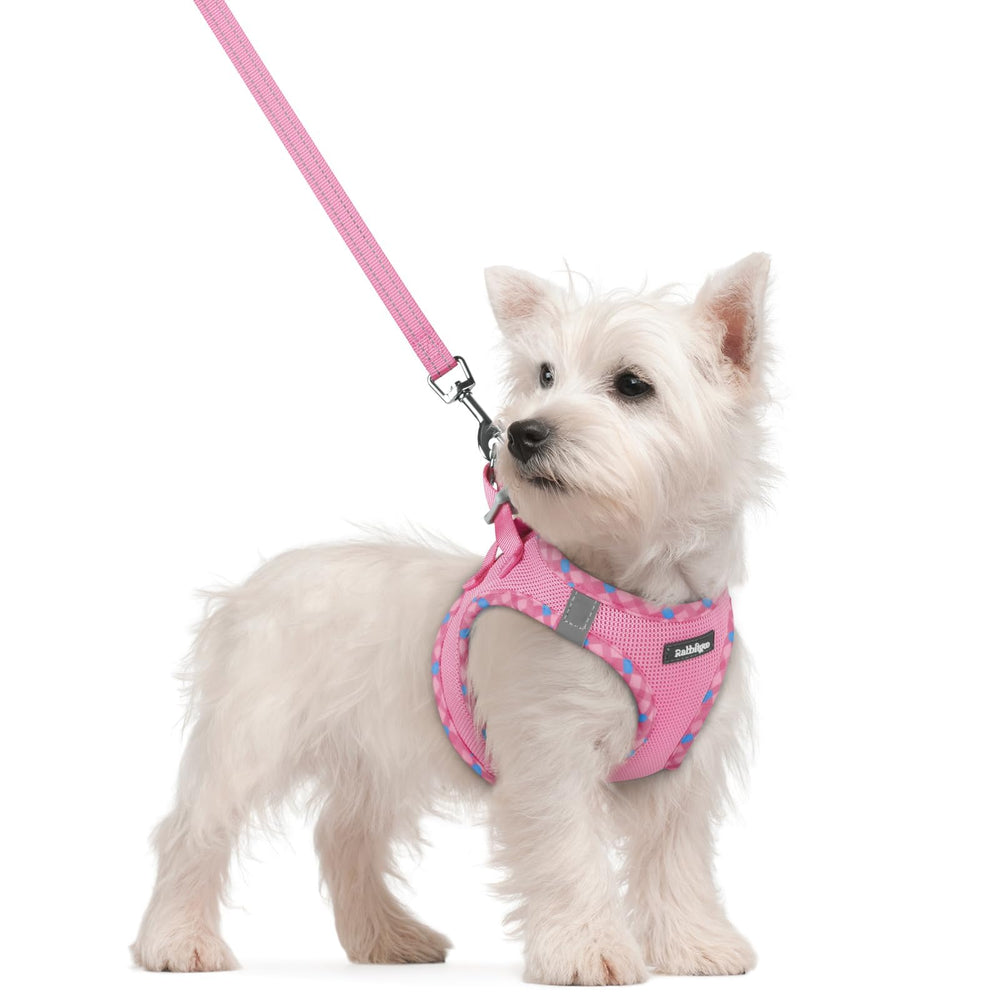 Rabbitgoo dog harness with step-in design for quick, comfortable on-and-off during walks.