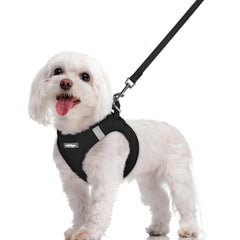 Rabbitgoo dog harness step-in design for quick, secure wearing