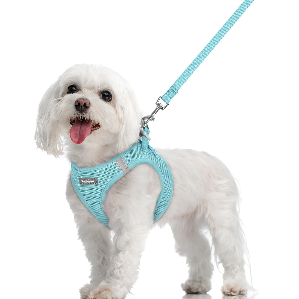 Rabbitgoo Step-In Harness Mint Blue β easy paw-through design for quick, comfortable wear.