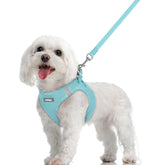 Rabbitgoo Step-In Harness Mint Blue — easy paw-through design for quick, comfortable wear.