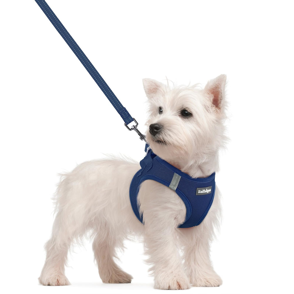 Rabbitgoo step-in navy blue dog harness ready for quick on/off during a walk.