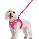 Rabbitgoo dog harness step-in rose red, easy on/off for small dogs.