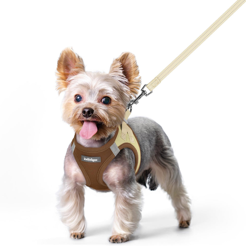 Rabbitgoo step-in dog harness for small breeds, lightweight and easy to wear.