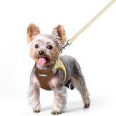 Rabbitgoo step-in dog harness for small breeds, lightweight and easy to wear.