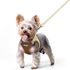 Rabbitgoo step-in dog harness for small breeds, lightweight and easy to wear.