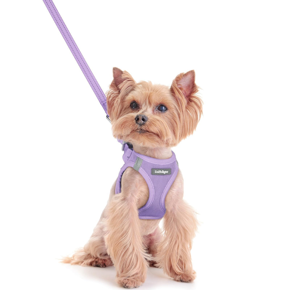 Rabbitgoo dog harness XXS step in for easy on off during walks